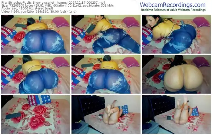 stripchat-scarlet__tommy-11-17-2024-00-02-37