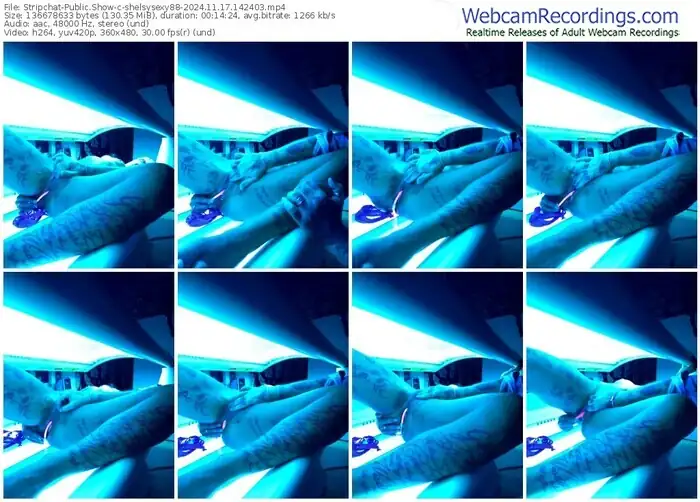 stripchat-shelsysexy88-11-17-2024-14-24-03