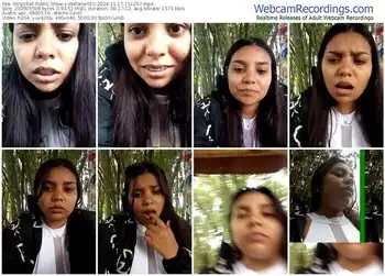 stripchat-stefanie010-11-17-2024-15-12-57