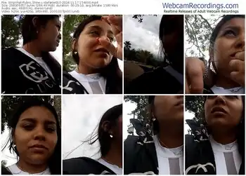 stripchat-stefanie010-11-17-2024-15-46-00