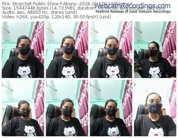 stripchat-abony--11-17-2024-11-04-51