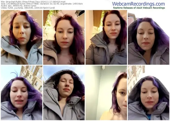 stripchat-frost_foxy-11-17-2024-08-34-23