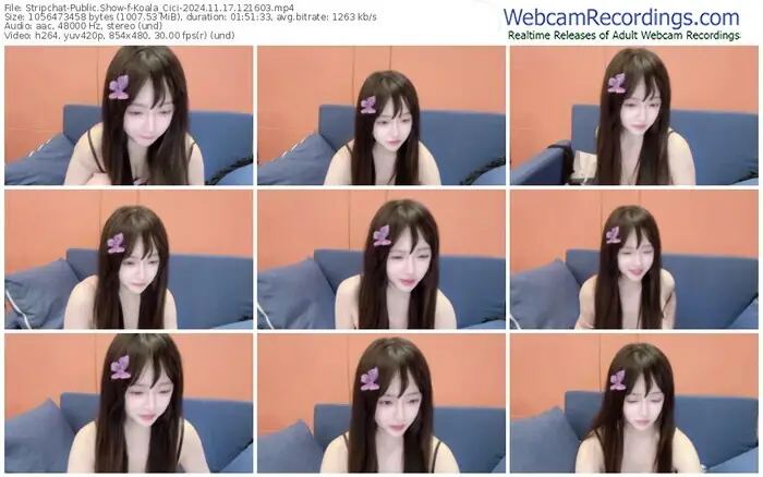 stripchat-koala_cici-11-17-2024-12-16-03