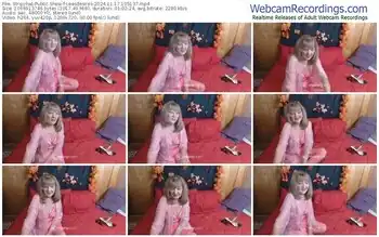 stripchat-leesdesires-11-17-2024-10-51-37