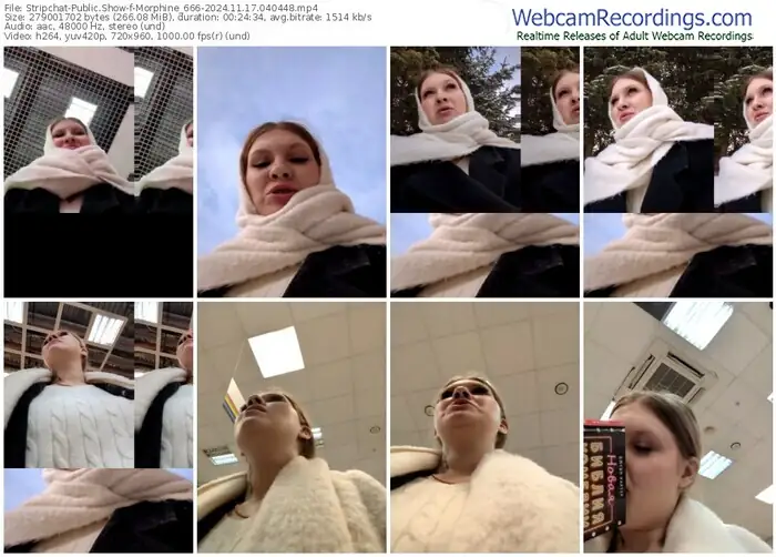 stripchat-morphine_666-11-17-2024-04-04-48