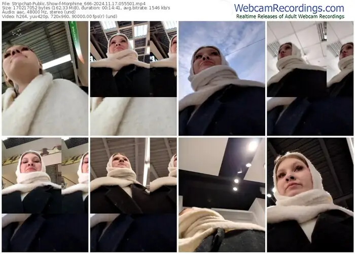 stripchat-morphine_666-11-17-2024-05-55-01