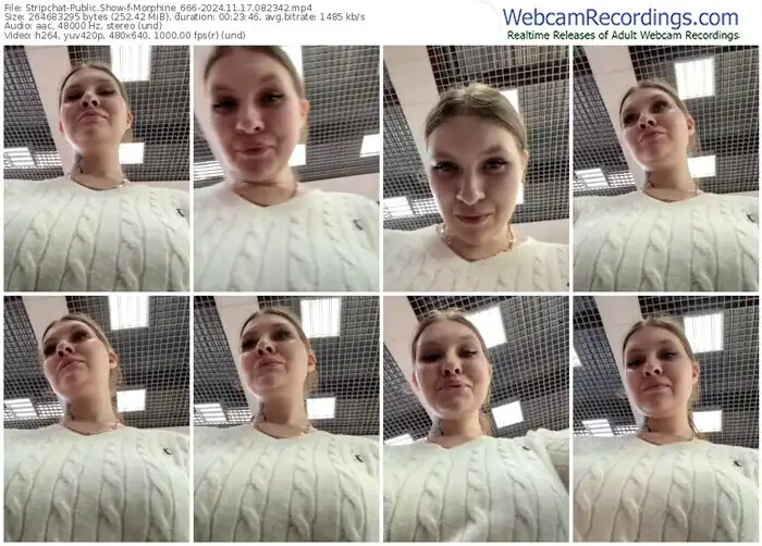 stripchat-morphine_666-11-17-2024-08-23-42