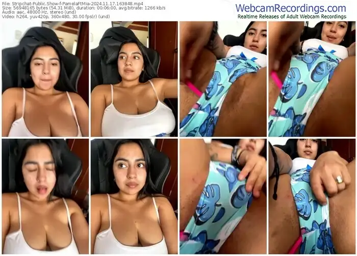 stripchat-pamelaftmia-11-17-2024-16-38-48