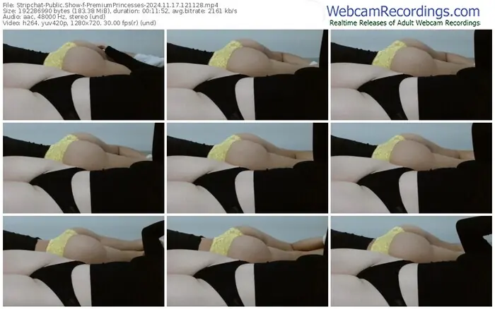 stripchat-premiumprincesses-11-17-2024-12-11-28