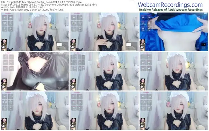 stripchat-ruirui_ovo-11-17-2024-05-37-07