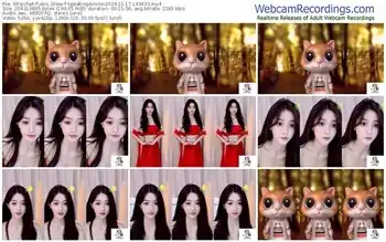 stripchat-speakingairline-11-17-2024-14-36-33