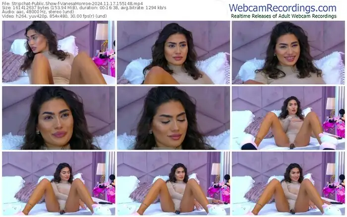 stripchat-vanesamonroe-11-17-2024-15-51-48