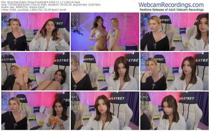 stripchat-vesta054-11-17-2024-12-01-14