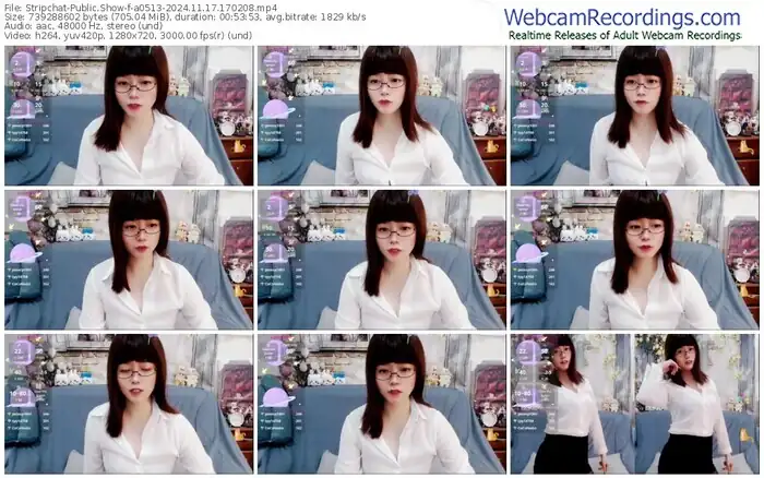 stripchat-a0513-11-17-2024-17-02-08