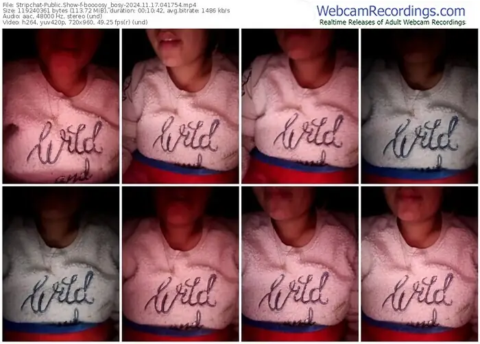 stripchat-boooosy_bosy-11-17-2024-04-17-54
