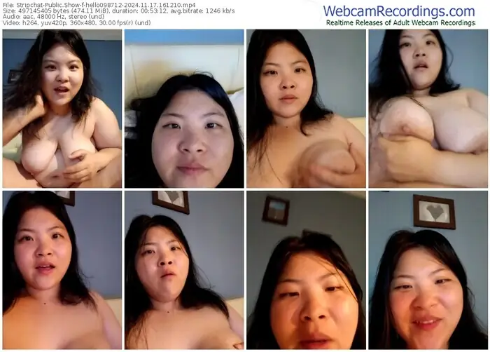 stripchat-hello098712-11-17-2024-16-12-10