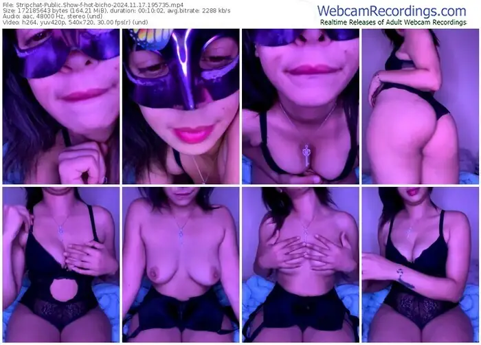 stripchat-hot-bicho-11-17-2024-19-57-35