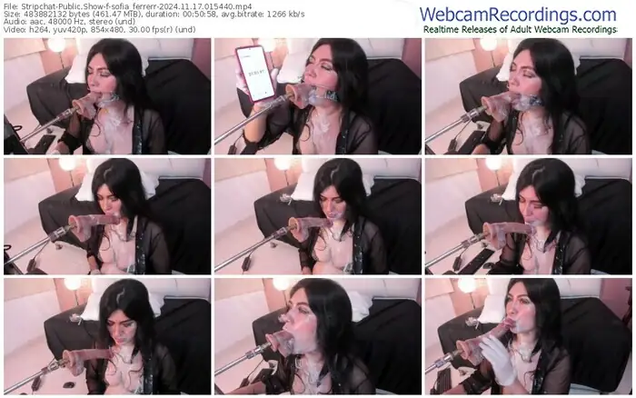 stripchat-sofia_ferrerr-11-17-2024-01-54-40