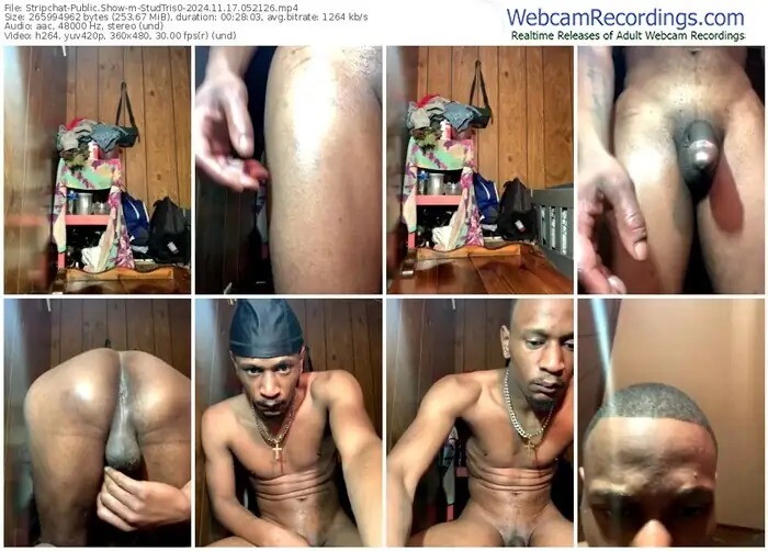 stripchat-studtris0-11-17-2024-05-21-26