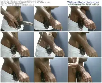 stripchat-phbbcsham-11-17-2024-00-15-34