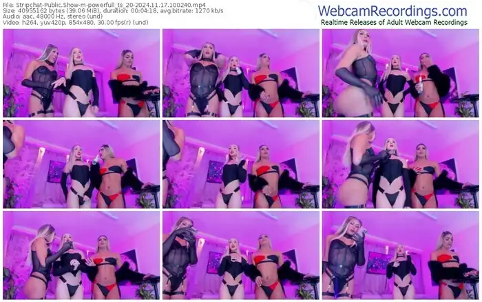 stripchat-powerfull_ts_20-11-17-2024-10-02-40