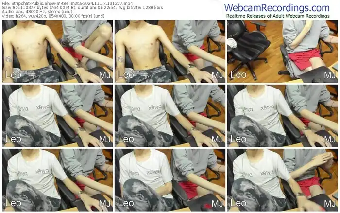 stripchat-teelimata-11-17-2024-13-12-27