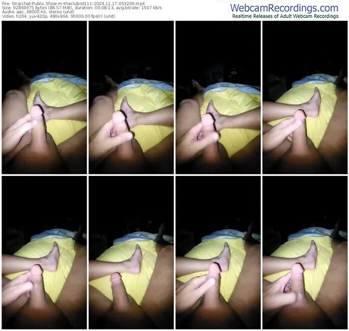stripchat-theclubist111-11-17-2024-05-32-09