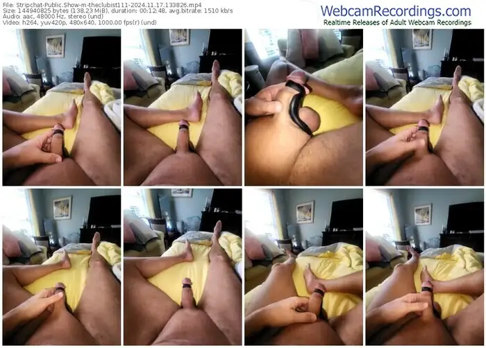 stripchat-theclubist111-11-17-2024-13-38-26