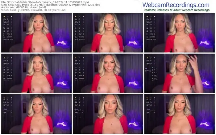 stripchat-victoriafox_69-11-17-2024-03-00-28