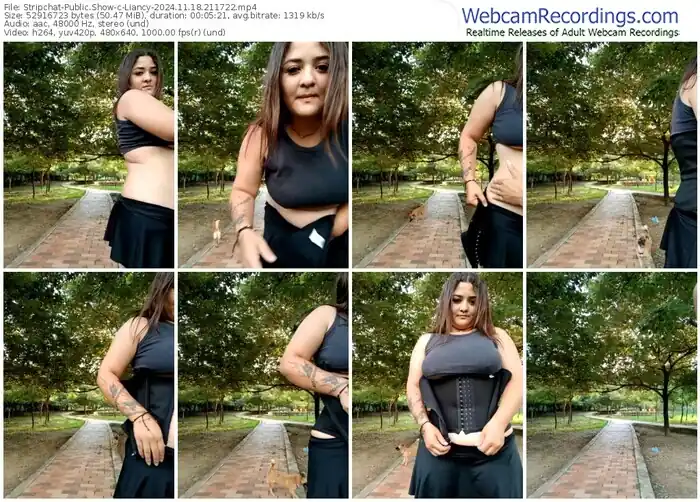 stripchat-liancy-11-18-2024-21-17-22