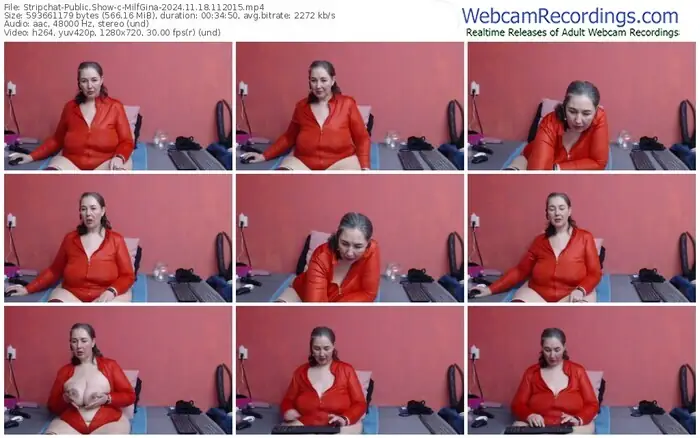 stripchat-milfgina-11-18-2024-11-20-15