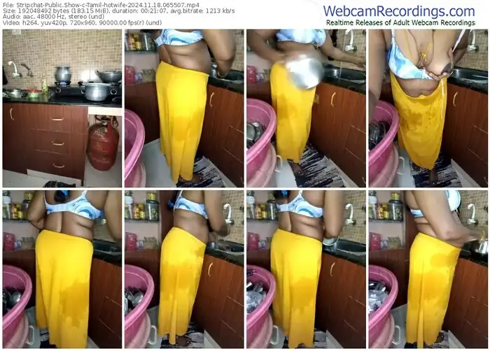 stripchat-tamil-hotwife-11-18-2024-06-55-07