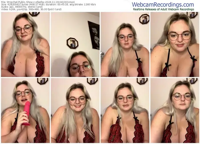 stripchat-ofeefox-11-18-2024-04-13-03