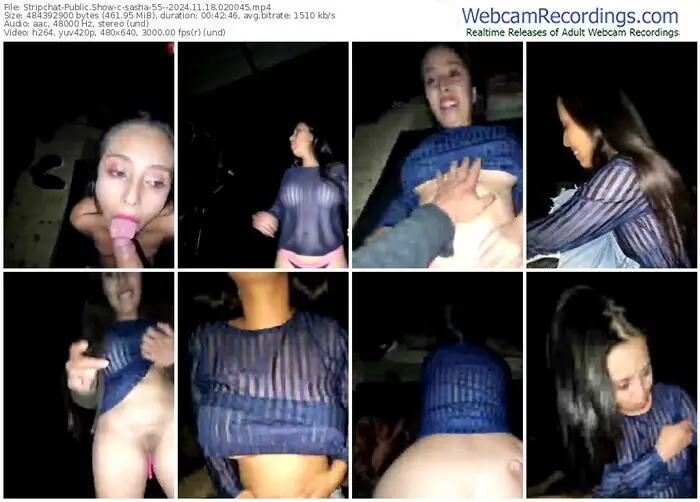 stripchat-sasha-55--11-18-2024-02-00-45