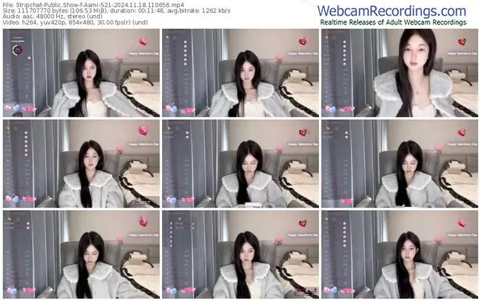stripchat-aami-521-11-18-2024-11-06-56
