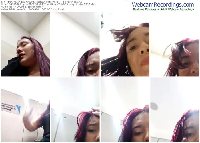 stripchat-blushing_katy-11-18-2024-00-02-38