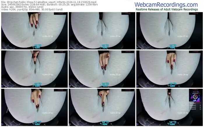 stripchat-cameltoe_squirt_inpants-11-18-2024-15-06-29