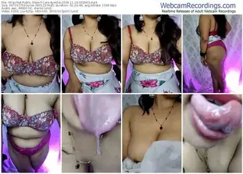 stripchat-cute-ayesha-11-18-2024-00-29-03