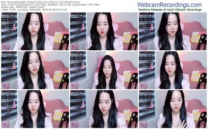 stripchat-little-miu-11-18-2024-04-01-29