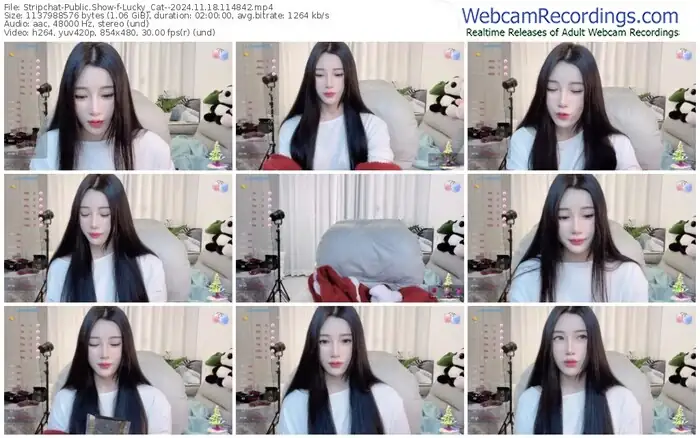 stripchat-lucky_cat--11-18-2024-11-48-42