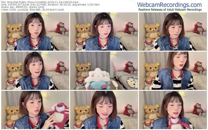 stripchat-onekitty-11-18-2024-14-50-20