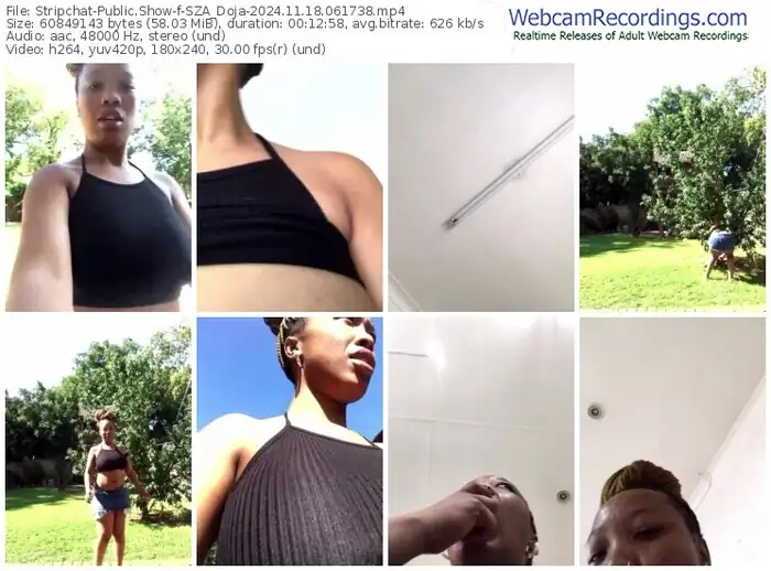 stripchat-sza_doja-11-18-2024-06-17-38