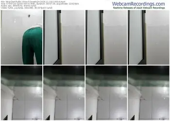 stripchat-sweets24-11-18-2024-11-43-19