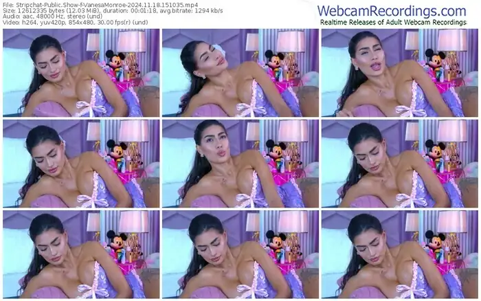 stripchat-vanesamonroe-11-18-2024-15-10-35