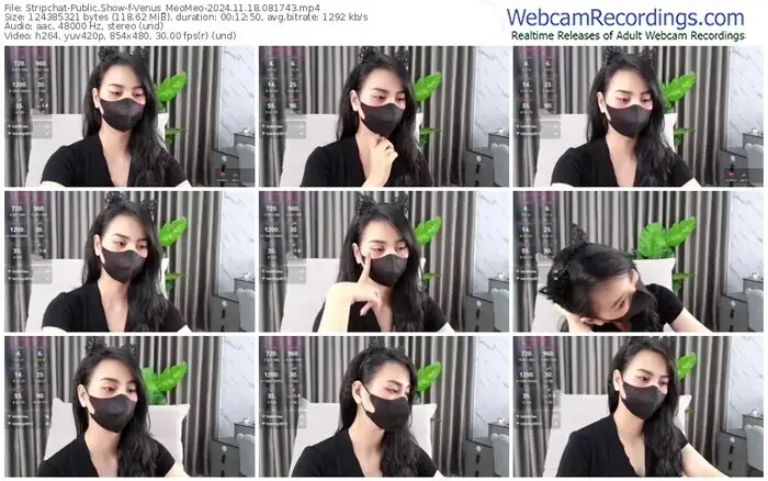 stripchat-venus_meomeo-11-18-2024-08-17-43
