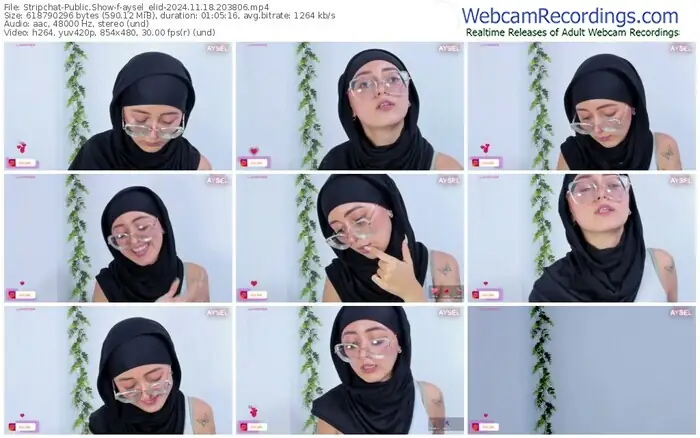 stripchat-aysel_elid-11-18-2024-20-38-06