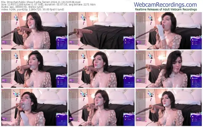 stripchat-sofia_ferrerr-11-18-2024-21-05-38