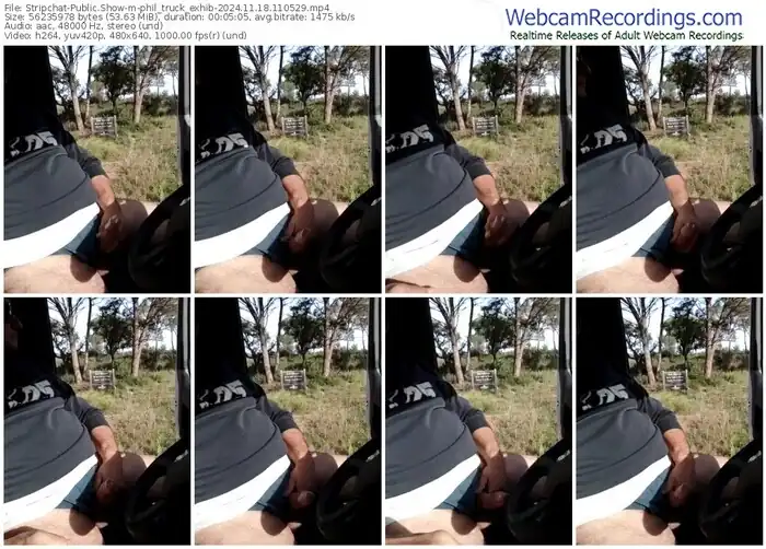 stripchat-phil_truck_exhib-11-18-2024-11-05-29