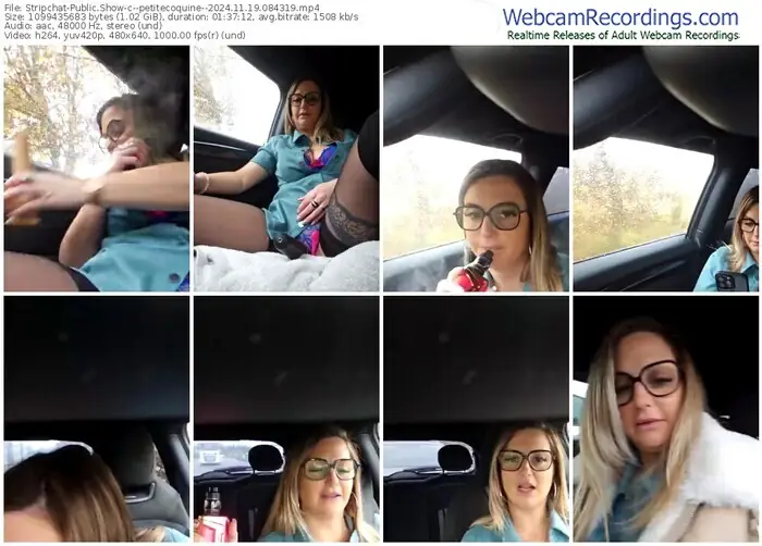 stripchat--petitecoquine--11-19-2024-08-43-19
