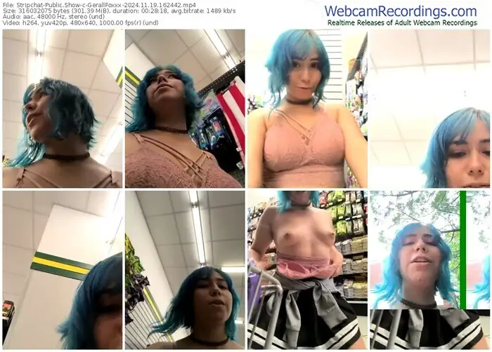 stripchat-gerallfoxxx-11-19-2024-16-24-42